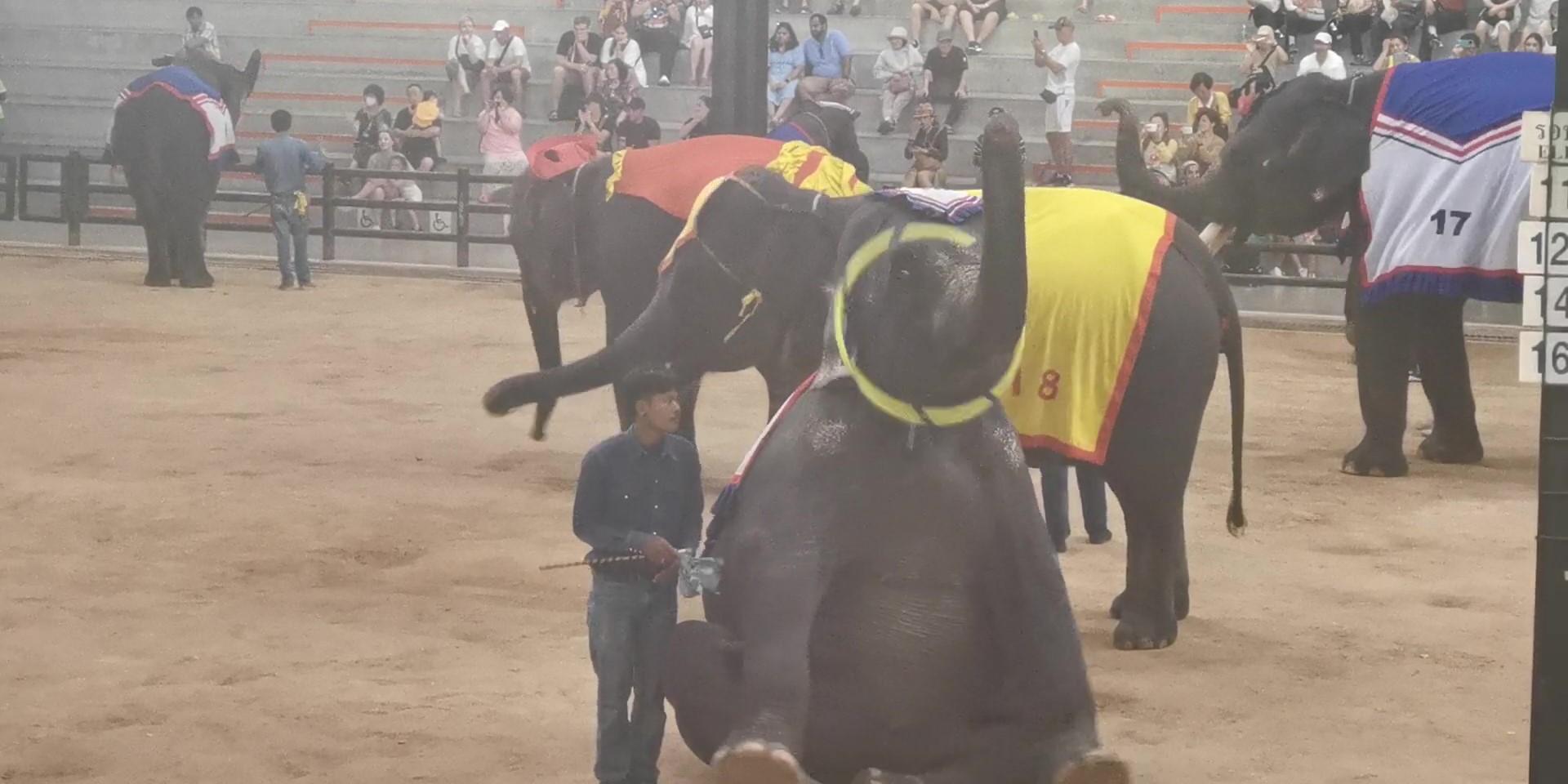 02东芭乐园_20241120_161835 (8).jpg